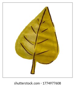 Autumn set of leaves of different trees. Yellow, red, orange, maple, birch, oak. Hand-painted, watercolor. Vector isolated objects.