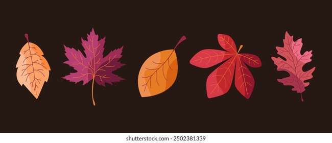 autumn set of leaves five pieces on a dark background