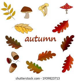Autumn set of leaves with mushrooms and acorns on a white background. For your design to create romantic or vintage design . Vector EPS 10