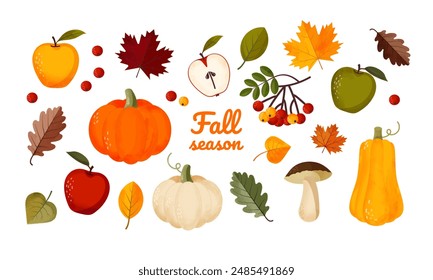 Autumn set. Leaves, pumpkins and other fall elements in flat style