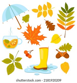 Autumn set with leaves, rubber boots, acorns, rowan berries, a cup of tea. Vector Illustration.