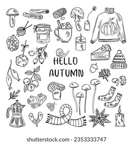 Autumn set of line design elements. Fall, Thanksgiving Day, Pumpkin season. Vector illustration