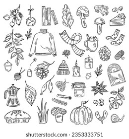 Autumn set of line design elements. Fall, Thanksgiving Day, Pumpkin season. Vector illustration