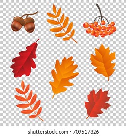 Autumn Set lsolated Gradient Mesh, Vector Illustration