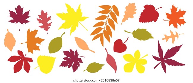autumn set of many silhouettes of leaves on a white background
