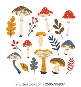 Autumn set with mushrooms, leaves and berries. Vector illustration in doodle style, flat style