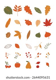 Autumn set of natural elements. Set of autumn branches with leaves, berries, mushrooms, nuts. Colored flat vector illustration on white background