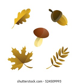Autumn set with oak, acorn, mushroom, maple and rowan leaves