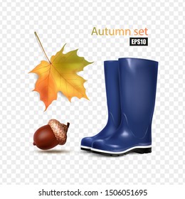 Autumn set on a transparent background, acorn, maple leaf, blue rubber boots. 3D effect. Vector, EPS10