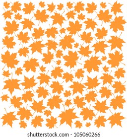 Autumn Set of Orange Maple Leaves on White Background, Vector Version