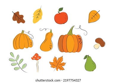 Autumn set - orange pumpkins, autumn leaves, mushrooms, apple, pear. illustration in flat simple style with black stroke. vector design element isolated on white background