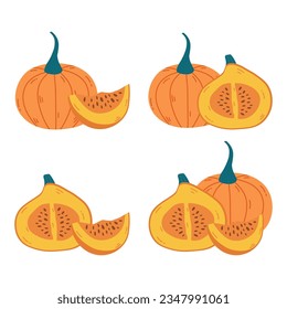 Autumn set of orange ripe pumpkin