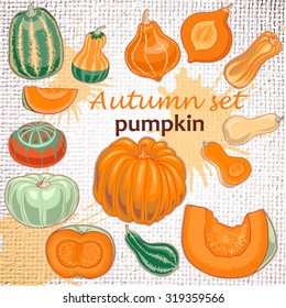 Autumn set. Pumpkin on rustic background.Vector.