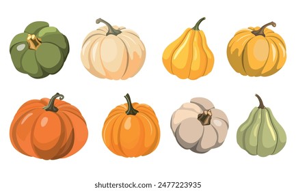 Autumn set of pumpkins for Halloween and harvest on white background. Vector illustration. Isolated on white background