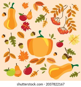 Autumn set, pumpkins, leaves, acorns, foliage, tea, teapot cups, honey, jam, cupcake and pumpkin pie with vegetables, as well as rubber boots and ashberry