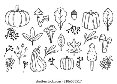 Herbstset. Herbstkürbis, Blätter, Beeren und Pilze. Doodle-Stil. Sammlung von Herbstpflanzen. Vektorgrafik.