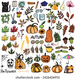 autumn set with pumpkins, leaves, school supplies, Halloween celebration