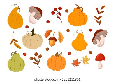 Autumn set, pumpkins, mushrooms, acorns, rowan and maple leaves on a white background. Autumn print, decor elements, vector	
