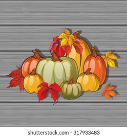 autumn set with pumpkins and the texture of the old wood. Autumn harvest festival. Bright autumn background for a poster, invitation or other postcard. Vector.