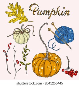 autumn set with pumpkins, threads and knitting needles for luck, rowan branches. vector illustration for stickers

