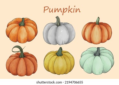 Autumn set of pumpkins. Watercolor Hand painted pumpkin for halloween and Fall on white background. Vector illustration, watercolor painting, hand drawing