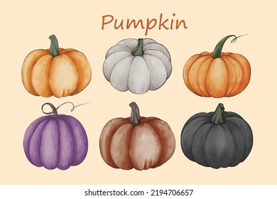 Autumn set of pumpkins. Watercolor Hand painted pumpkin for halloween and Fall on white background. Vector illustration, watercolor painting, hand drawing