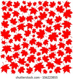 Autumn Set of Red Maple Leaves on White Background, Vector Version