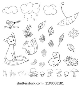 Autumn set of thirty elements: clouds, leafs, nuts, hedgehog, acorn, fox, bird, berry, umbrella, mushrooms, squirrel, grass, isolated vector animals, leaves, objects of nature, line art, black outline