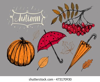 Autumn set with umbrella, leaves, pumpkin. Sketch. Vector illustration