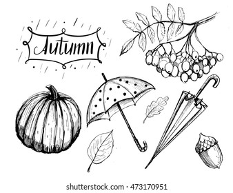 Autumn set with umbrella, leaves, pumpkin. Sketch. Vector illustration