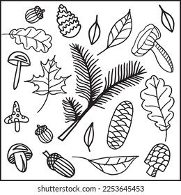 autumn set vector, contour drawing