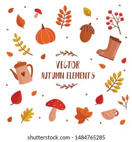Autumn set of vector elements isolated on white background.