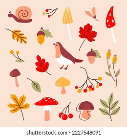 Autumn set of vector graphics includes bird, snail, plant, mushroom, berry, leaves. Natural elements isolated on pastel background. Botanical collection for scrapbooking, greeting, invitation, poster