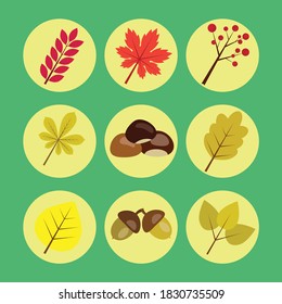Autumn set of vector icons, various leaves from trees, acorns and chestnuts in the form of icons.