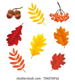 Autumn Set, Vector Illustration, With Gradient Mesh