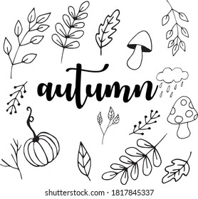 conjunto de otoño ilustración vectorial hojas calabazas 