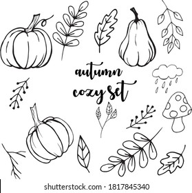 ilustración vectorial de conjunto de otoño deja las calabazas acogedoras