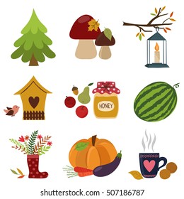 Autumn set. Vector illustration with seasonal fruits and vegetables, flowers and leaves. Hand-draw graphic