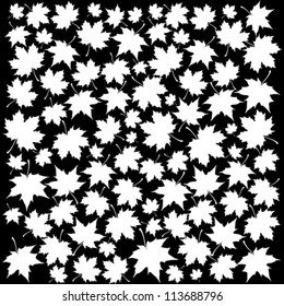 Autumn Set of White Maple Leaves on Black Background, Vector Version