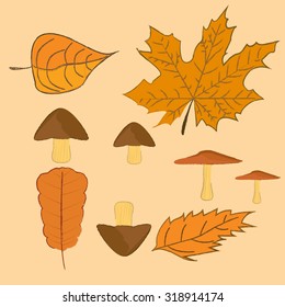 Autumn set.Vector illustration.