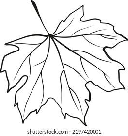 Autumn sheet vector illustration art.