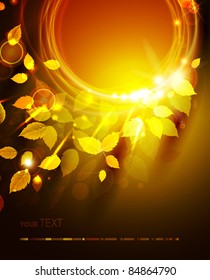 autumn  shine background with yellow leaves