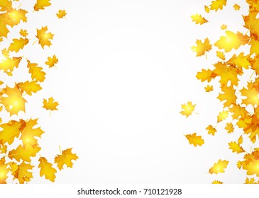 Autumn shining background with golden maple and oak leaves. Vector illustration.
