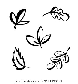 Conjunto simple de otoño. Hojas de otoño y bayas. Colección de arte de la línea de símbolos naturales aislada en fondo blanco.