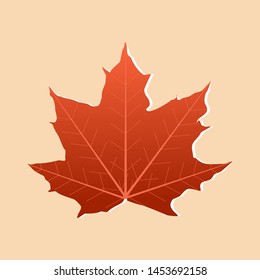 Autumn Single maple leaf orange color isolated on soft orange background. Design vector illustration