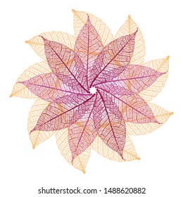 Autumn skeleton leaves decorative rosette