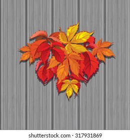 Autumn sketch with multicolored maiden grape leaves. Bright autumn background for a poster, invitation or other postcard. Vector.