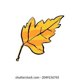 Autumn sketch yellow leaf. Hand-drawn color textured herb on white background. Doodle plant image. Nature, gardening, forest, fall sign. Carved inked leaf. Vector botanical season illustration