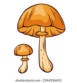 Autumn skullcap inedible mushroom in cartoon style. Poisonous plants sketch. Vector illustration isolated on a white background. Deadly fungus Galerina marginata.