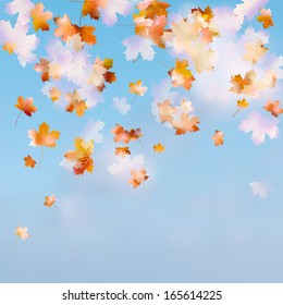 Autumn sky leaf. And also includes EPS 10 vector